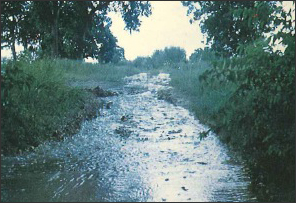 Photo of a river.