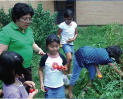 Alexandra Mendoza teaches her students at Metz Elementary math, science, and language skills while they work in the garden.