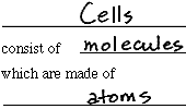 cells consist of molecules which are made of atoms