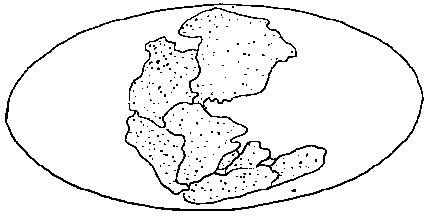 Picture of Pangea
